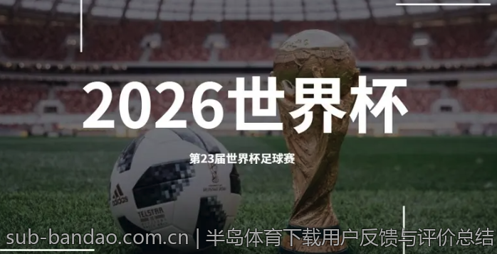 半岛体育下载用户反馈与评价总结
