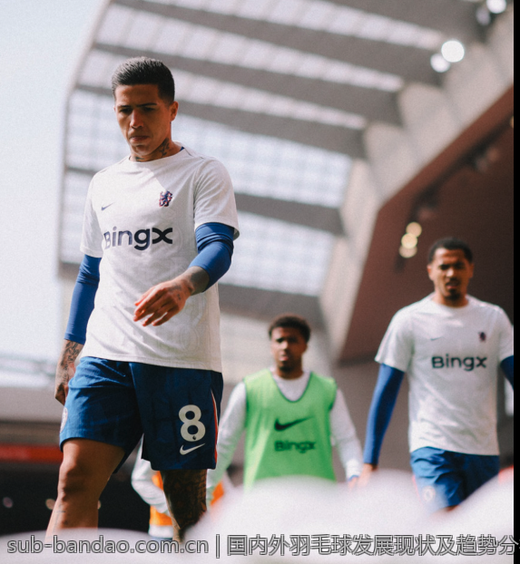 国内外羽毛球发展现状及趋势分析